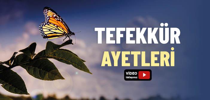 Tefekkür Ayetleri