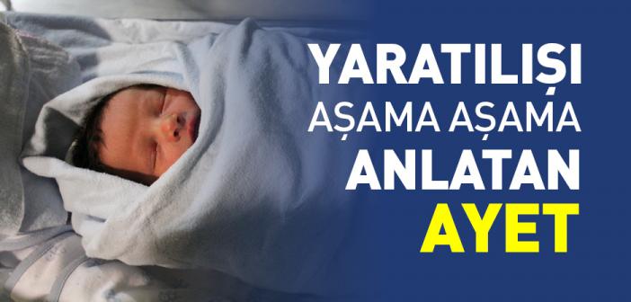 İnsanın Yaratılışını Aşama Aşama Anlatan Ayet
