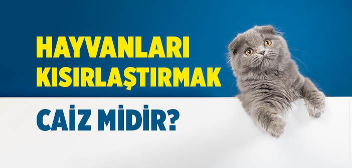 Hayvanları Kısırlaştırmak Caiz mi?