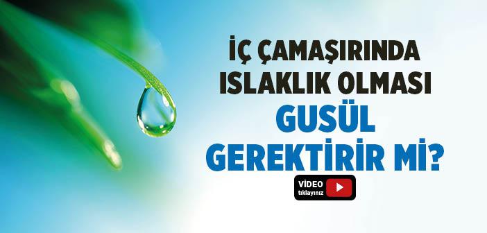 İç Çamaşırında Islaklık Görülmesi Gusül Gerektirir mi?