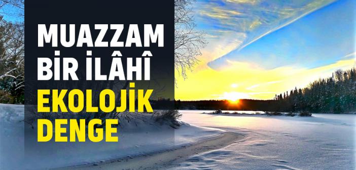 Muazzam Bir İlâhî Ekolojik Denge