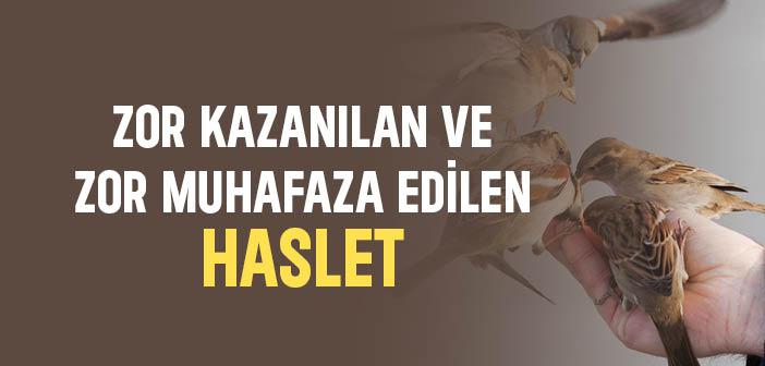 Zor Kazanılan ve Zor Muhafaza Edilen Haslet