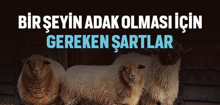 Bir Şeyin Adak Olması Gereken Şartlar Nelerdir?