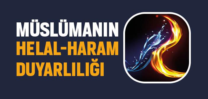 https://www.islamveihsan.com/wp-content/uploads/2024/03/maide-suresinin-88-ayeti-ne-anlatiyor-194799-m.jpg