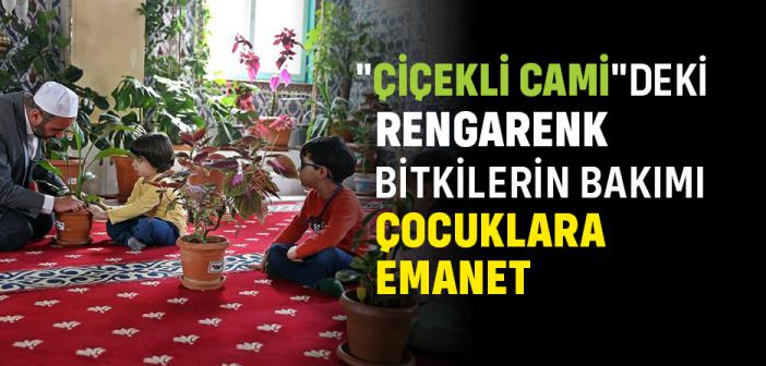 "Çiçekli Cami"Deki Rengarenk Bitkilerin Bakımı Çocuklara Emanet