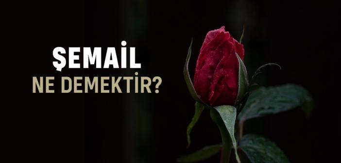 Şemail Ne Demek?