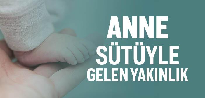 Anne Sütüyle Gelen Akrabalık