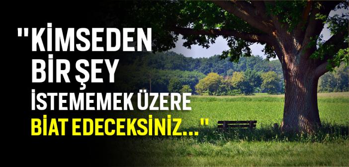 "Kimseden Bir Şey İstememek Üzere Biat Edeceksiniz..." Hadisi