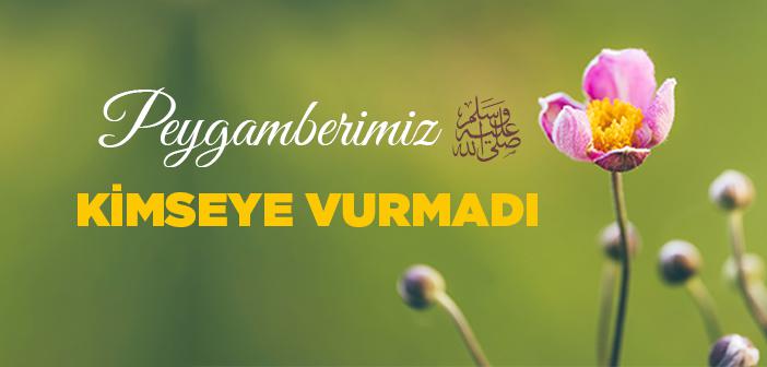 Peygamberimiz Hiç Kimseye ve Hiçbir Kadına Eliyle Vurmamıştır