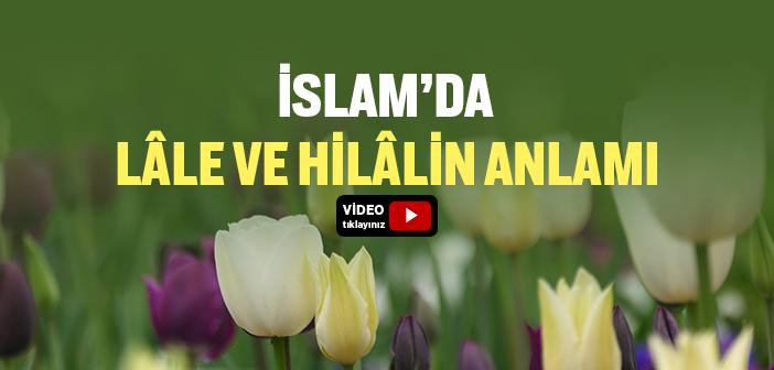 İslam’da Lale ve Hilal Ne Anlama Geliyor?