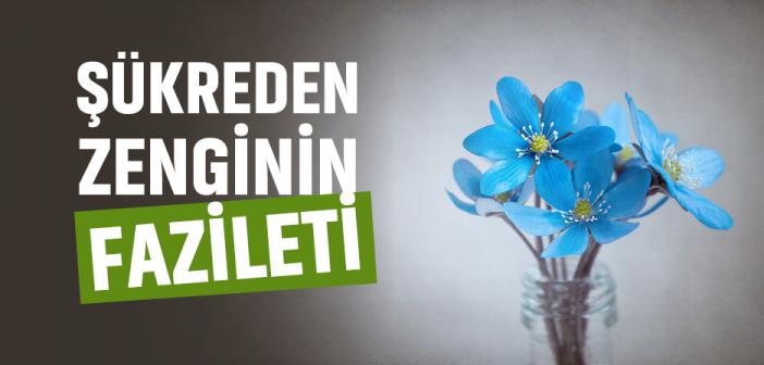 Şükreden Zengin ile İlgili Ayetler