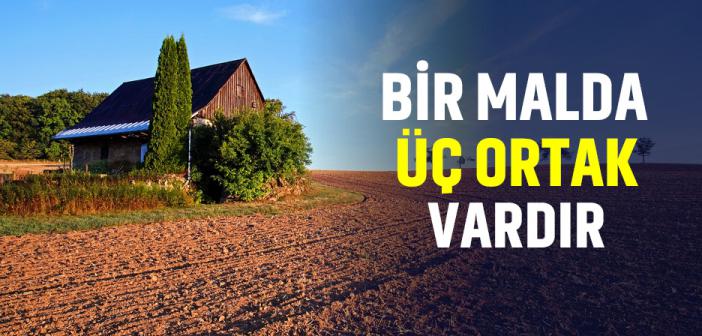 Bir Malda Üç Ortak Vardır