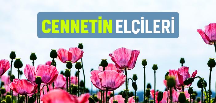 Cennetin Elçileri