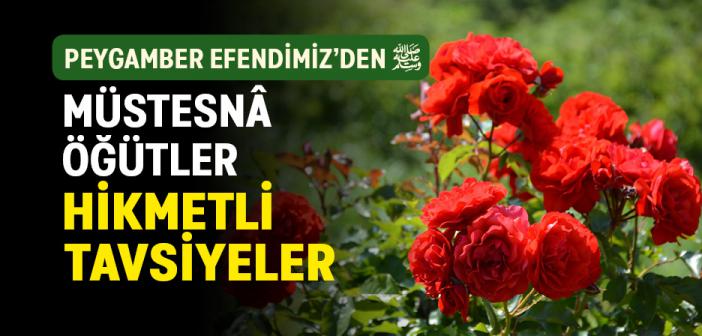 Peygamber Efendimiz’den Müstesnâ Öğütler Hikmetli Tavsiyeler