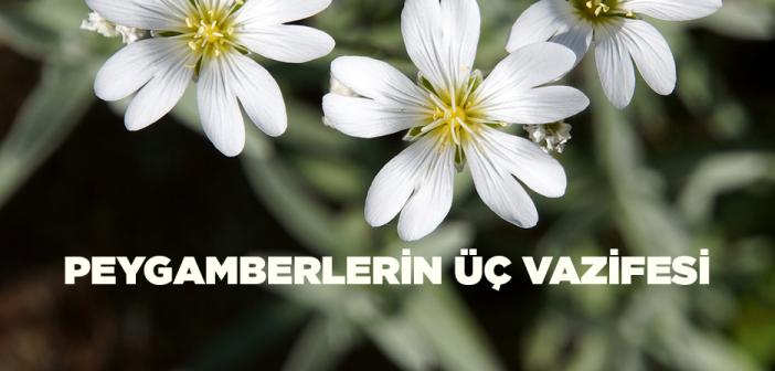 Peygamberlerin Üç Vazifesi Nedir?
