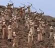 Uhud Gazvesi’nde Kendisini Peygamberimize Siper Eden Sahabi