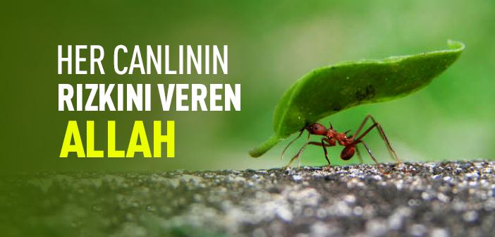 Hud Suresinin 6. Ayeti Ne Anlatıyor?