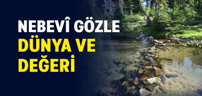 Nebevî Gözle Dünya ve Değeri