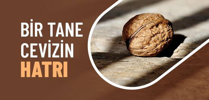 Bir Cevizin Hatrı