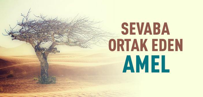 Sevaba Ortak Eden Amel