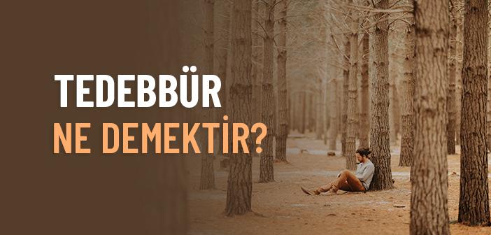 Tedebbür Ne Demek?