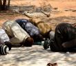 Hanefi Olan Biri Nafile Namaz Kılan Birinin Arkasında Farz Namaz Kılabilir mi?