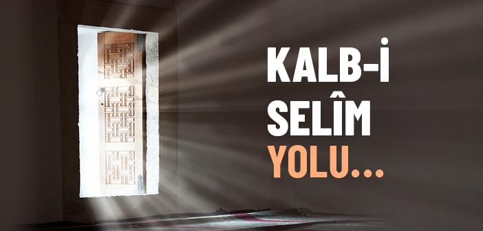 Kalb-i Selîm Yolu…
