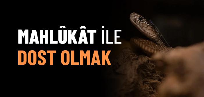 Sami Efendi’nin Yılan ile Dostluğu