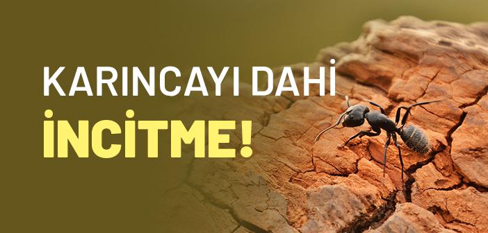 Üzerimizde Her Mahlukatın Hakkı Var mıdır?