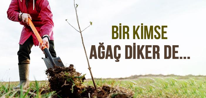 “Ağaç Dikmek Sadakadır” Hadisi