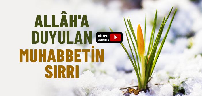Allah'a Muhabbet Nasıl Elde Edilir?
