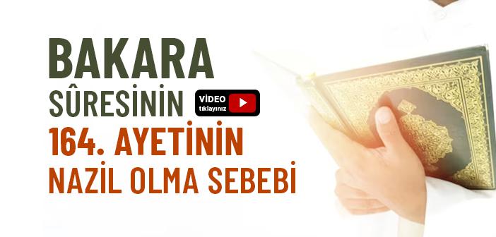 Bakara Suresinin 164. Ayeti Neden İnmiştir?