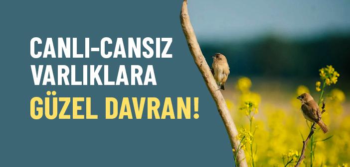Dinimiz Neden Canlı-Cansız Varlıklara Güzel Davranmayı Telkin Ediyor?
