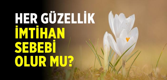 Kehf Suresinin 7. Ayeti Ne Anlatıyor?