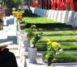 Ölüye Fatiha ve Bakara Suresi (Âme­ner­ra­sû­lü) Okunabilir mi?