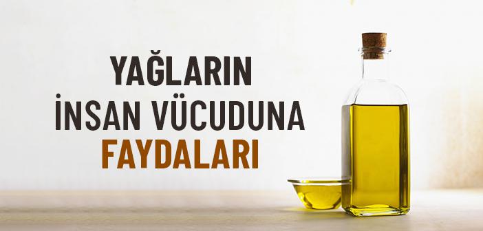 Yağların İnsan Vücuduna Faydaları