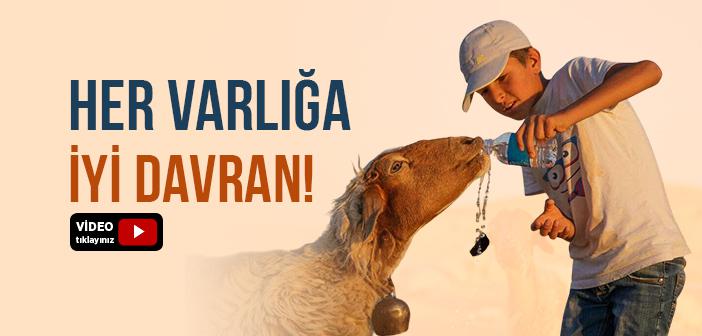 Allah Her Varlığa İyi Davranmamızı Emrediyor