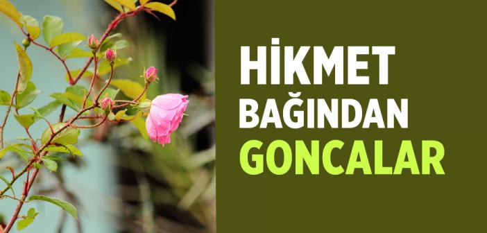 Hikmet Bağından Goncalar
