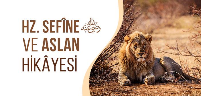 Sefine ve Aslan