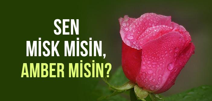 Sen Misk misin, Amber misin?