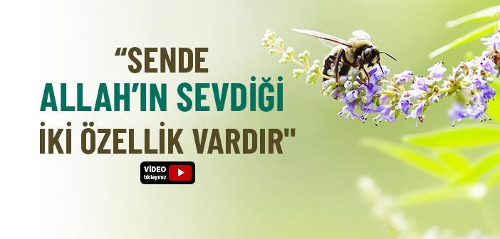 Yumuşak Huyluluk ve İhtiyatkârlık ile İlgili Hadis