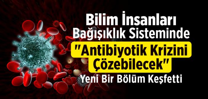 Bilim İnsanları Bağışıklık Sisteminde "Antibiyotik Krizini Çözebilecek" Yeni Bir Bölüm Keşfetti