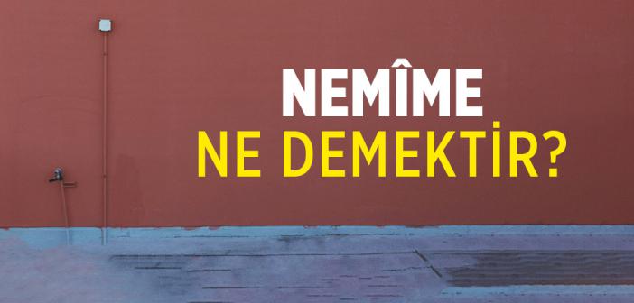 Nemîme Ne Demektir?