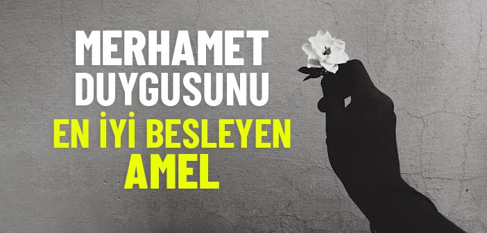 Oruç, Şefkat ve Merhamet Duygularını Geliştirir mi?