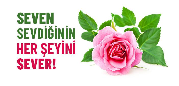 Seven, Sevdiğinin Her Şeyini Sever