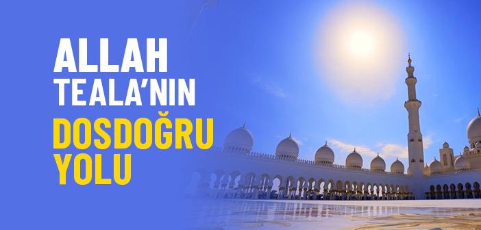 Allah Teala’nın Dosdoğru Yolu