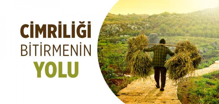Cimriliği Bitirmenin Yolu