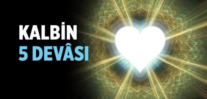Kalbin Beş Devası