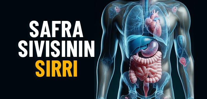 Safra (Sıvısı) Nedir, Ne İşe Yarar?