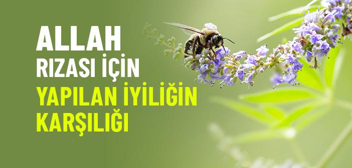 Enbiya Suresinin 94. Ayeti Ne Anlatıyor?